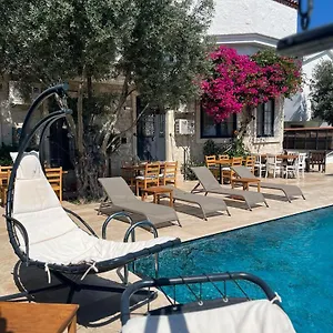 book here
